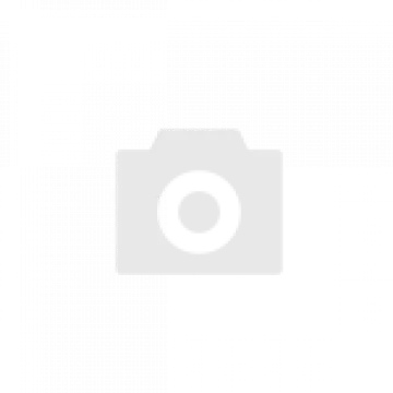 Srpski sportski muzički himne: Pesme za mečeve